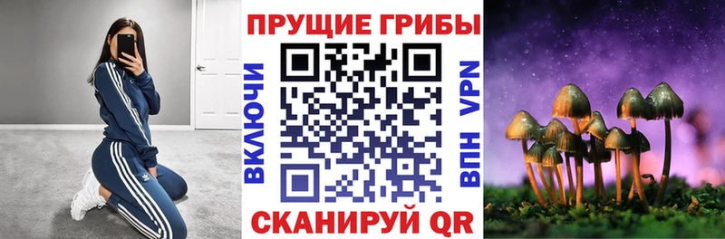 Галлюциногенные грибы мухоморы  blacksprut ССЫЛКА  Верхнеуральск 